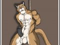 m_1238523307639_cougar_tied_up.jpg